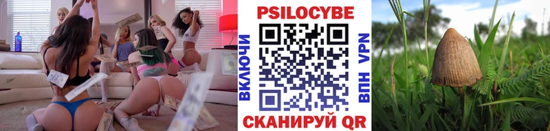 купить наркотик  Гурьевск  Галлюциногенные грибы Psilocybe 